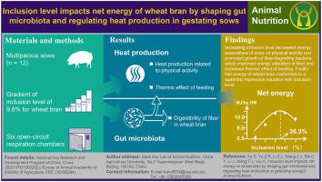 Wheat bran inclusion level impacts its net energy by shaping gut microbiota and regulating heat production in gestating sows