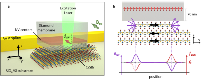 Nitrogen-vacancy magnetometry of CrSBr by diamond membrane transfer