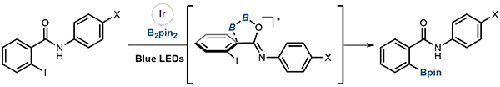 Carboxamide-accelerated Chemoselective Borylation of Iodoarenes under Photoirradiation