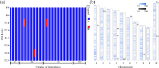 Genotyping-by-sequencing (GBS) reveals greater somatic mutations than simple sequence repeats (SSRs) in micropropagated cannabis plants