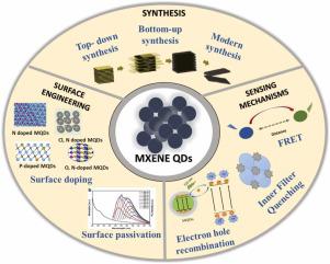 Surface engineering of MXene quantum dots for the designing of optical metal sensors