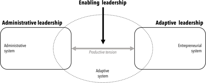 Enabling educational innovation through complexity leadership? Perspectives from four Dutch universities