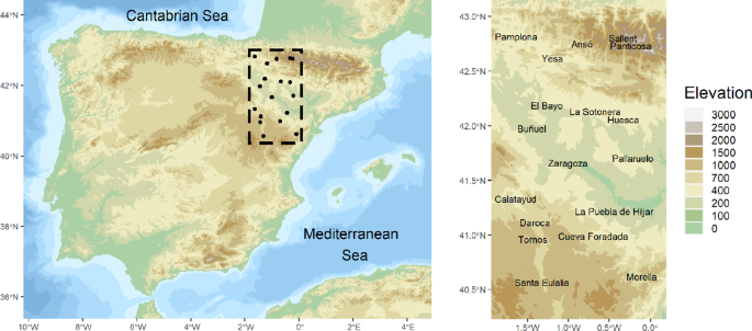 Bayesian joint quantile autoregression