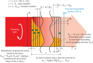 The Isotope Shift Suppression in NMR-based Balanced Quantum Rotation Sensor