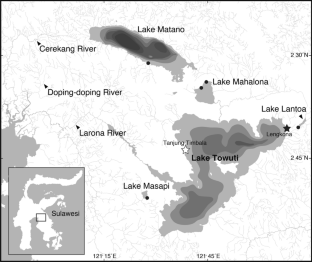 A new lacustrine ricefish from central Sulawesi, with a redescription of Oryzias marmoratus (Teleostei: Adrianichthyidae)