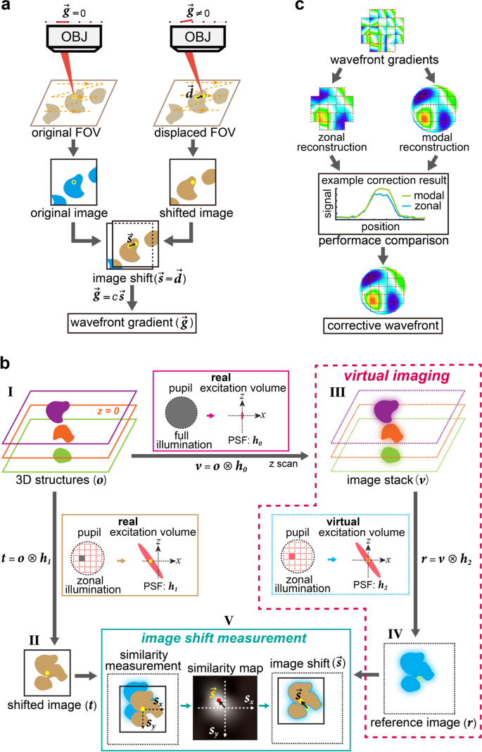 Adaptive optical microscopy via virtual-imaging-assisted wavefront sensing for high-resolution tissue imaging