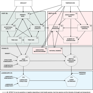 Bark beetle outbreaks in coniferous forests: a review of climate change effects