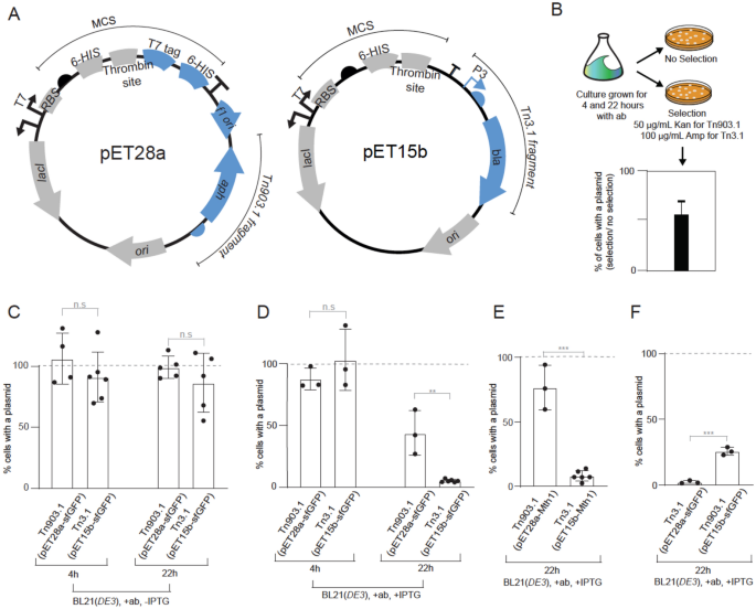 Tips for efficiently maintaining pET expression plasmids.