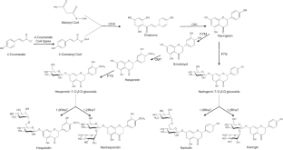 QTL mapping of flavanone glycoside accumulation in citrus