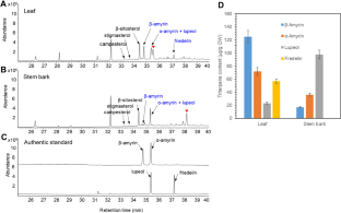 Characterization of oxidosqualene cyclases involved in pentacyclic triterpene biosynthesis in Korean chestnut (Castanea crenata)