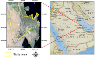 Integrated remote sensing data and machine learning for drought prediction in Eastern Saudi Arabia