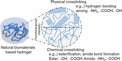 Interaction chemistry of functional groups for natural biopolymer-based hydrogel design