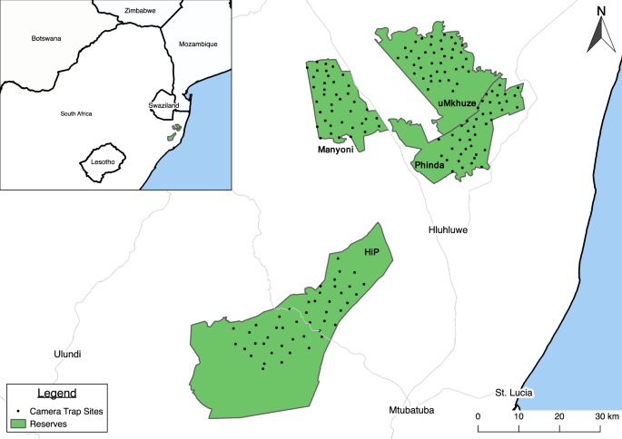 Cheetah spatiotemporal overlap with other large carnivores and prey at camera-trap sites: do they fit the niche-complementarity hypothesis?