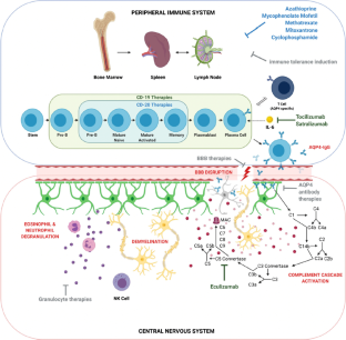 A Clinical Approach to Existing and Emerging Therapeutics in Neuromyelitis Optica Spectrum Disorder.