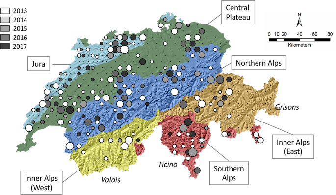 Distinct spatial patterns of genetic structure and diversity in the butterfly Marbled White (Melanargia galathea) inhabiting fragmented grasslands