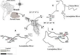 The zooplankton of tropical streams: is it determinism or stochasticity that drives the spatial and temporal patterns in community structure?