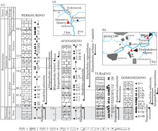 Conodonts from Moscovian–Kasimovian Boundary Interval in the Type and Reference Sections, Moscow Basin, Russia