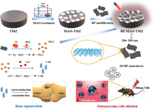 Black phosphorus-incorporated novel Ti-12Mo-10Zr implant for multimodal treatment of osteosarcoma