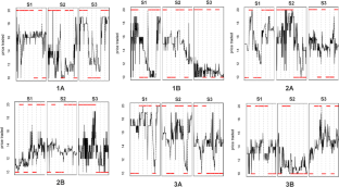 “Less is more” or “more is better”? The effect of asymmetric information distribution on market efficiency and wealth inequality