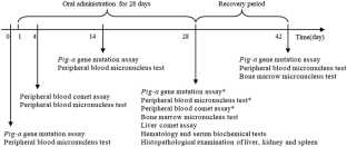 General toxicity and genotoxicity of alternariol: a novel 28-day multi-endpoint assessment in male Sprague-Dawley rats.