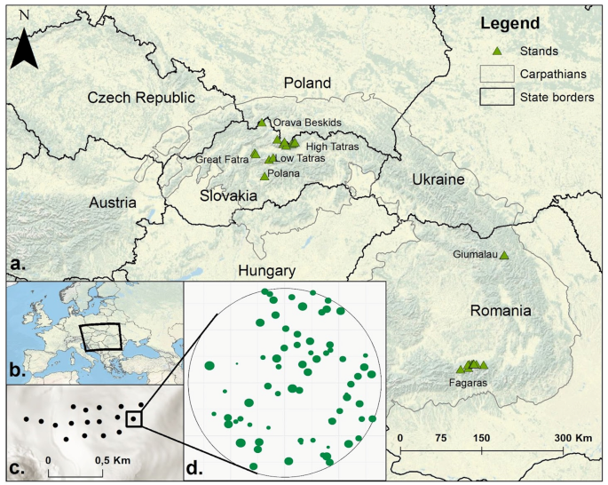 Natural Disturbances are Essential Determinants of Tree-Related Microhabitat Availability in Temperate Forests