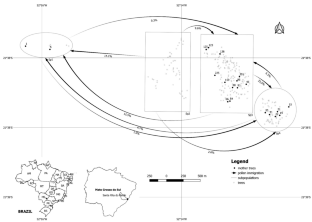 Pollen dispersal and mating patterns determine resilience for a large-yet-fragmented population of Cariniana estrellensis