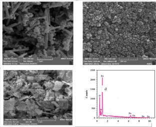 US-assisted catalytic degradation of paraquat using ZnO/Fe3O4 recoverable composite: Performance, toxicity bioassay test and degradation mechanism