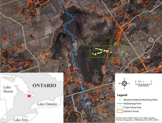 Groundwater characterization of the eastern Minesing Wetlands in support of the endangered Hine’s emerald dragonfly (Somatochlora hineana)