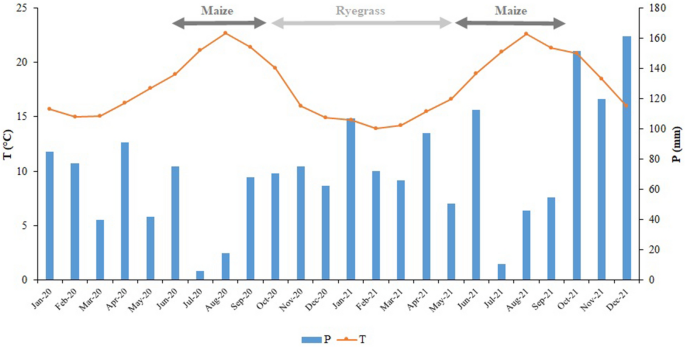 Effects of Mineral and Organic Fertilization on Forage Maize Yield, Soil Carbon Balance, and NPK Budgets, Under Rainfed Conditions in the Azores Islands (Portugal)