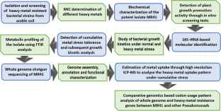 Whole genome sequencing and comparative genomic analyses of Pseudomonas aeruginosa strain isolated from arable soil reveal novel insights into heavy metal resistance and codon biology.