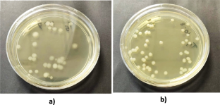 Survival of beneficial microbes in liquid bioformulation and optimization of different carrier materials using RSM technique.