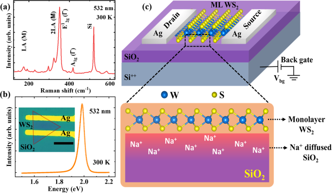 Ionotronic WS2 memtransistors for 6-bit storage and neuromorphic adaptation at high temperature