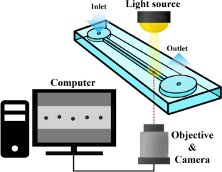 Lateral particle migration in shear-thinning colloidal dispersion