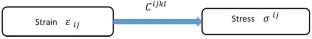 Cauchy Relations in Linear Elasticity: Algebraic and Physics Aspects