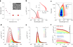 Optical gain and lasing from bulk cadmium sulfide nanocrystals through bandgap renormalization