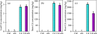 Effects of nano-silicon dioxide on minerals, antioxidant enzymes, and growth in bitter gourd seedlings under cadmium stress