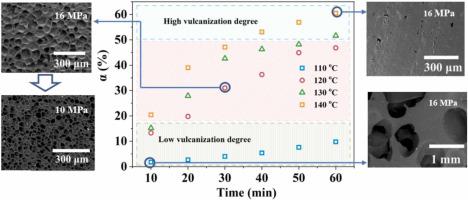 Key factors for regulation of cell morphology in supercritical CO2 direct rapid depressurization foaming silicone rubber process