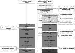 Immunological imbalance in microcephalic children with congenital Zika virus syndrome.