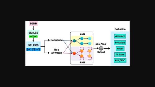 Natural‐Language Processing (NLP) based feature extraction technique in Deep‐Learning model to predict the Blood‐Brain‐Barrier permeability of molecules