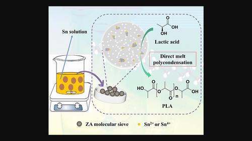 Poly(lactic acid) synthesized from non-food biomass feedstocks with tin-loaded ZA molecular sieve catalysts by direct melt polycondensation