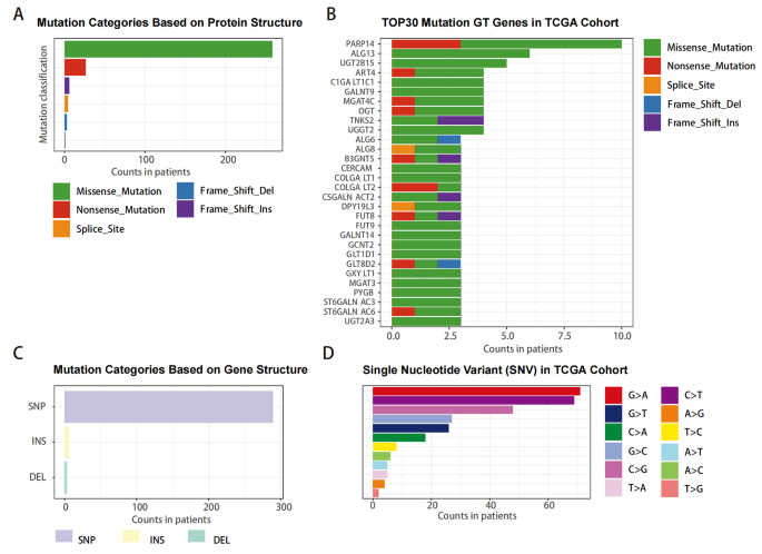 Exploration of glycosyltransferases mutation status in cervical cancer reveals PARP14 as a potential prognostic marker.