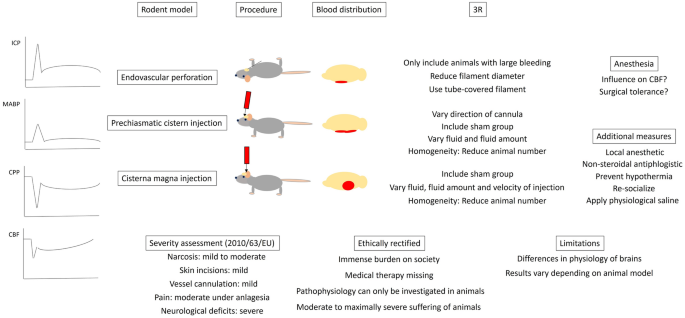 Animal Welfare Aspects in Planning and Conducting Experiments on Rodent Models of Subarachnoid Hemorrhage.