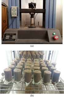 Morphological and Pull-Out Mechanical Properties of Alfalfa Roots in the Seedling Stage