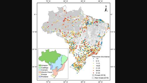 Characterizing aboveground biomass and tree cover of regrowing forests in Brazil using multi‐source remote sensing data