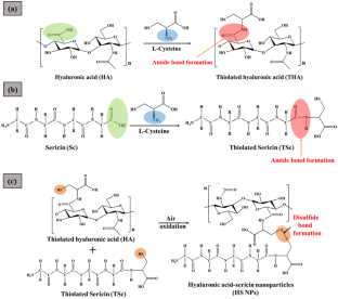 Disulfide bond-driven hyaluronic acid/sericin nanoparticles for wound-healing application