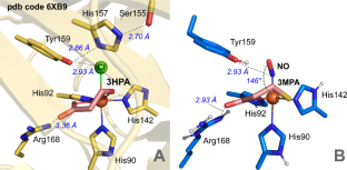 Cyanide replaces substrate in obligate-ordered addition of nitric oxide to the non-heme mononuclear iron AvMDO active site