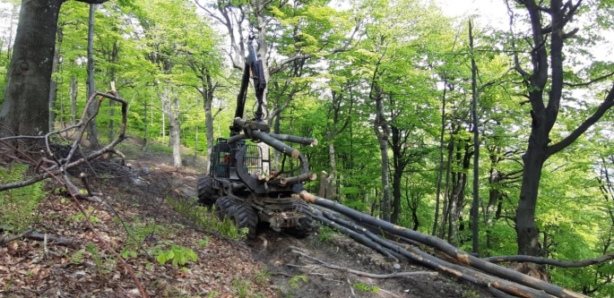 Forest Operations Using a Combi–Forwarder in Deciduous Forests