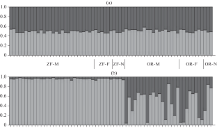 Microsatellites and the Major Histocompatibility Complex of the Atlantic Walrus Odobenus rosmarus rosmarus (Linnaeus, 1758) in Haulouts of the Barents Sea