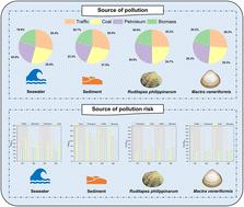 Source-specific ecological and health risks of polycyclic aromatic hydrocarbons in the adjacent coastal area of the Yellow River Estuary, China†
