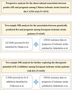 Associations of Rheumatoid Factor, Rheumatoid Arthritis, and Interleukin-6 Inhibitor with the Prognosis of Ischemic Stroke: a Prospective Multicenter Cohort Study and Mendelian Randomization Analysis.